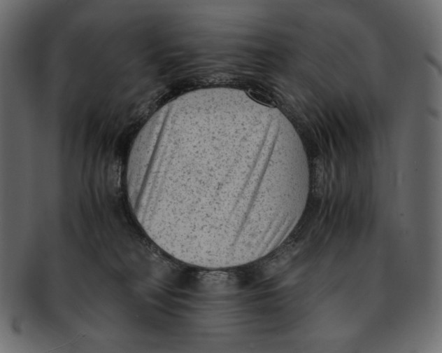 X0000091920230200710031046