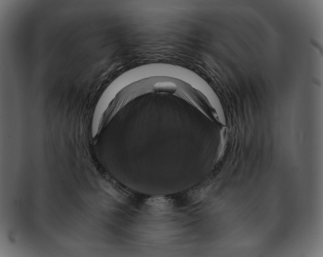 X0000091920231200710031046