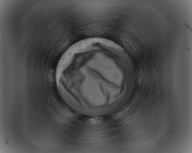 X0000091920232200710031046
