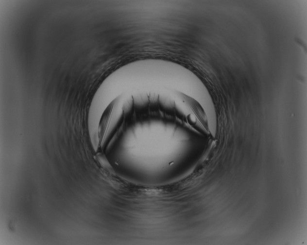 X0000091920233200710031046
