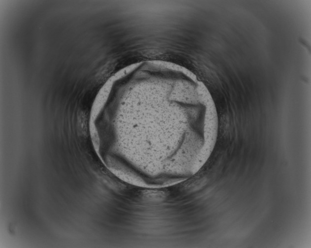 X0000091920234200710031046