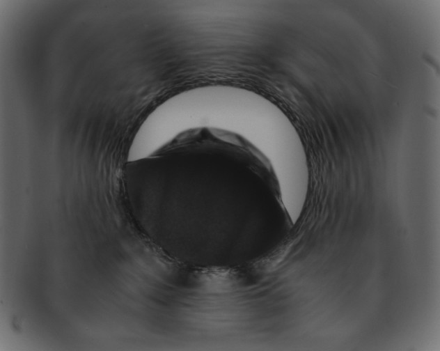 X0000091920235200710031046