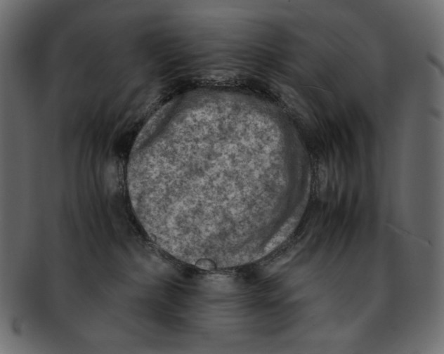 X0000091920236200710031046