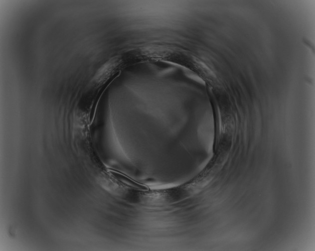 X0000091920237200710031045