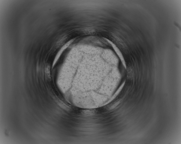 X0000091920238200710031045