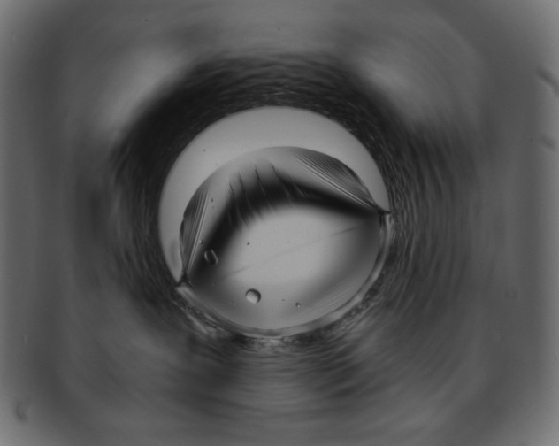 X0000091920239200710031045