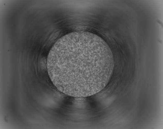 X0000091920240200710031045