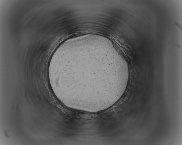 X0000091920241200710031045