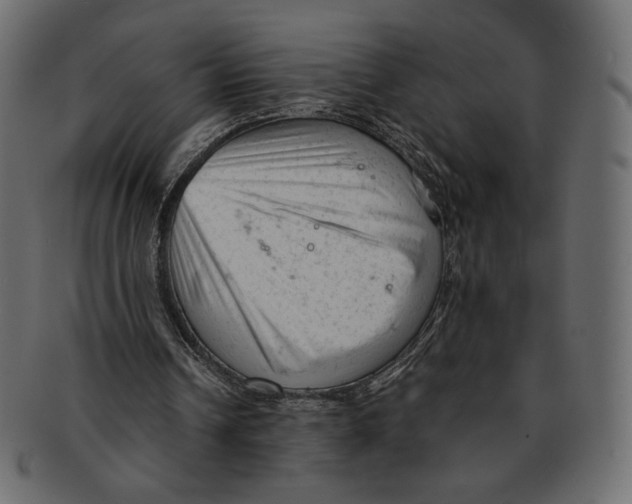 X0000091920242200710031045