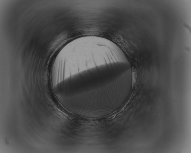 X0000091920243200710031045