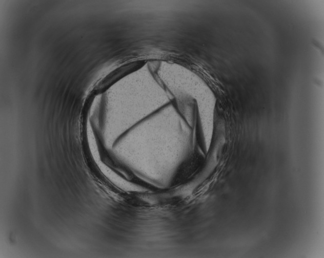 X0000091920244200710031045