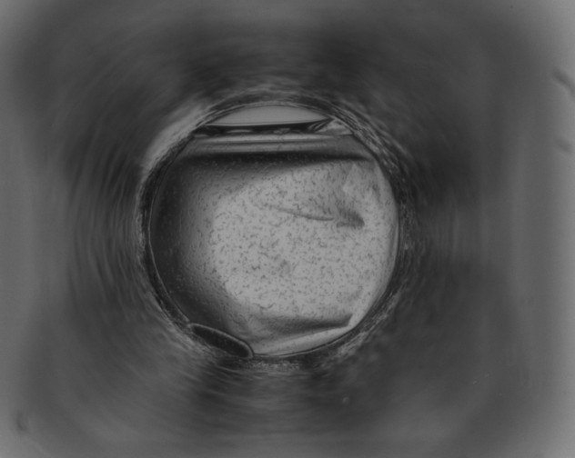X0000091920245200710031045