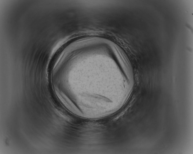 X0000091920246200710031045