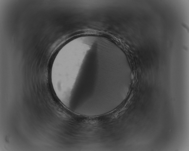 X0000091920247200710031045