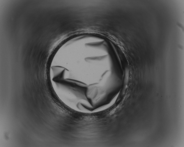 X0000091920248200710031045