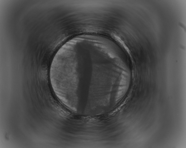 X0000091920249200710031045