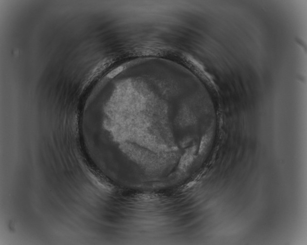 X0000091920250200710031045
