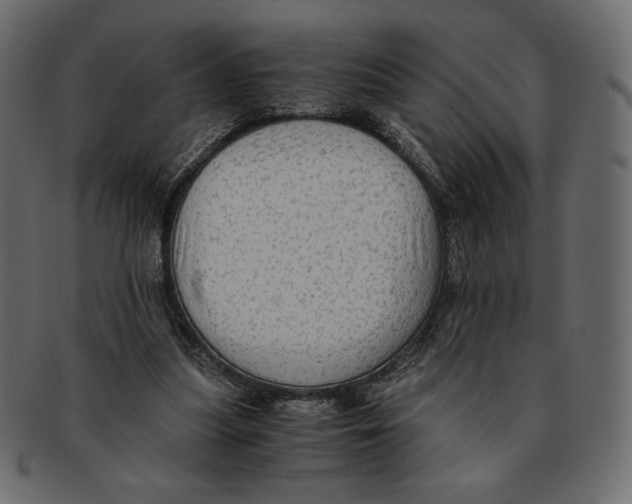 X0000091920251200710031045