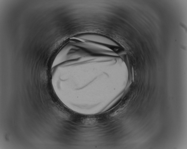 X0000091920252200710031045