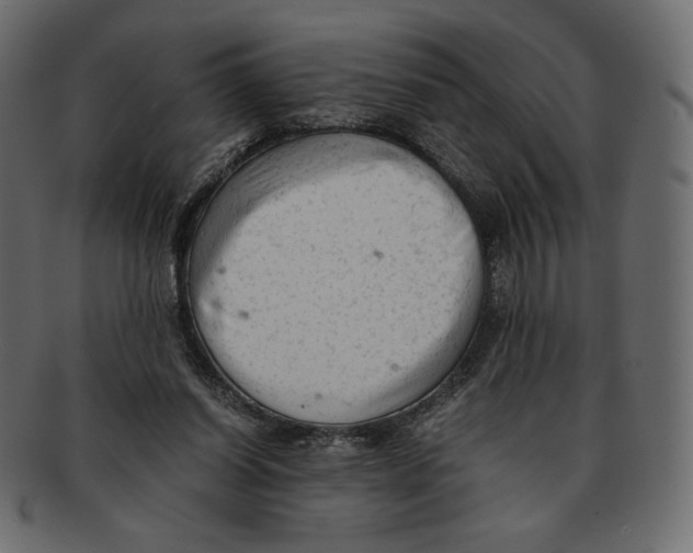 X0000091920254200710031045