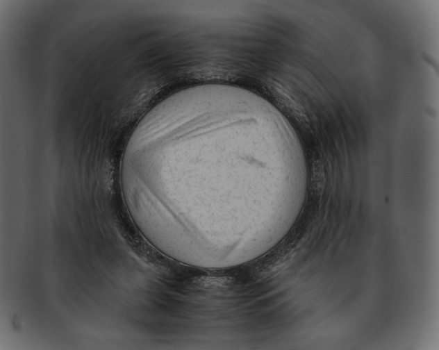 X0000091920255200710031045