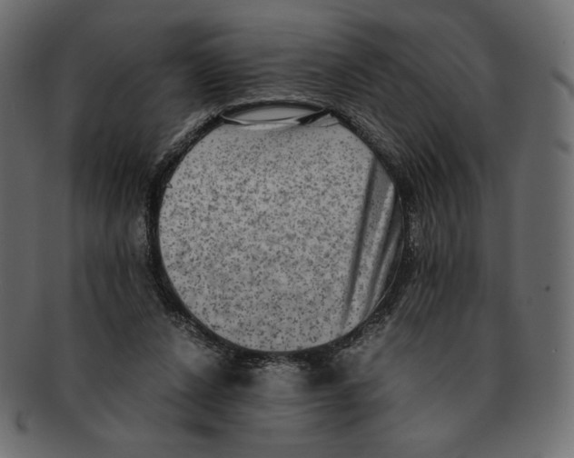 X0000091920256200710031045