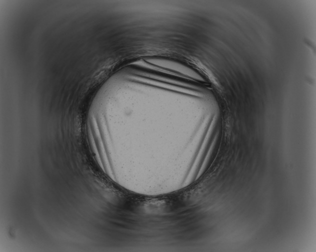X0000091920257200710031045