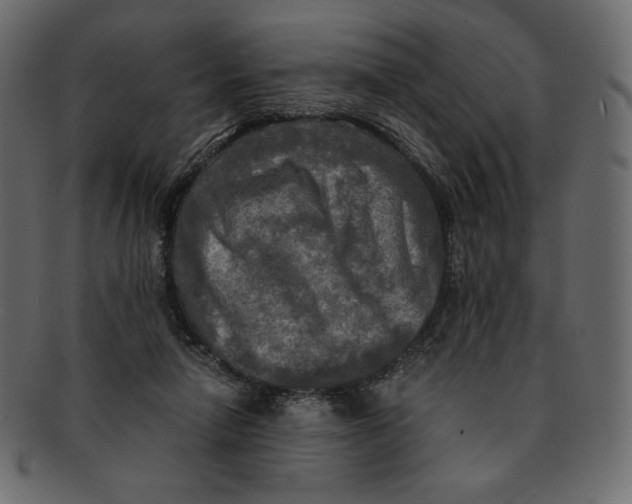 X0000091920258200710031045
