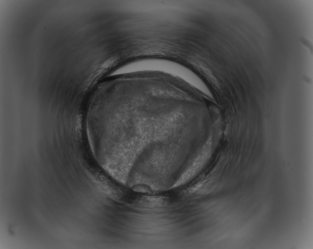X0000091920260200710031045