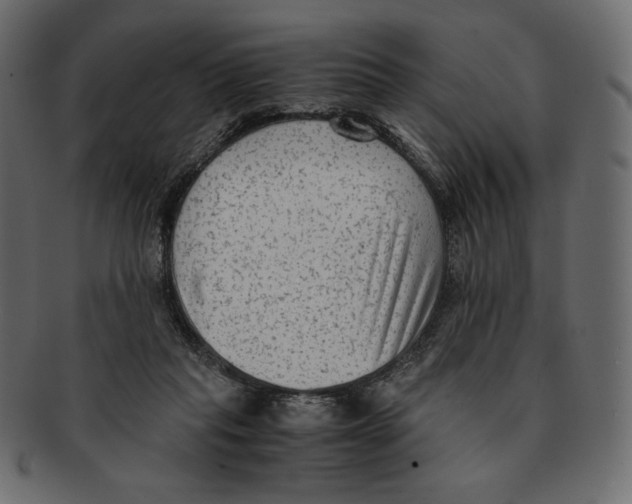 X0000091920261200710031045