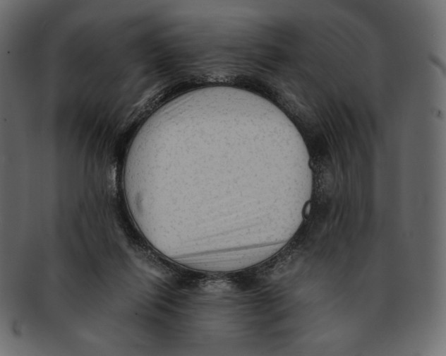 X0000091920262200710031045
