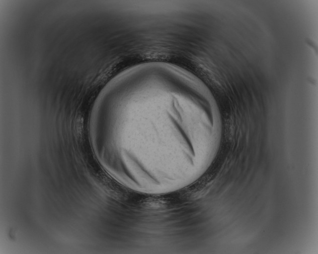 X0000091920263200710031045
