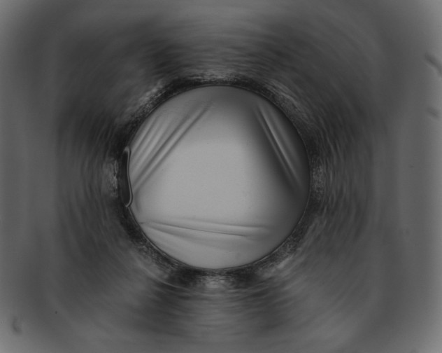 X0000091920264200710031045