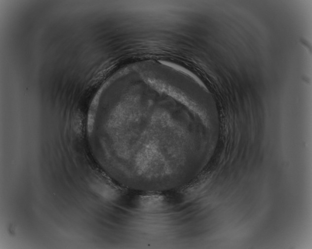 X0000091920266200710031045