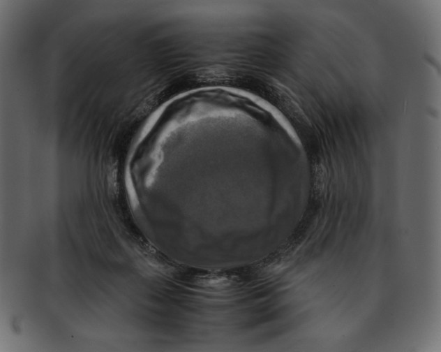 X0000091920267200710031045