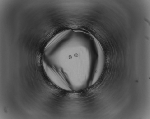X0000091920268200710031045