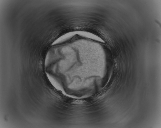 X0000091920269200710031045