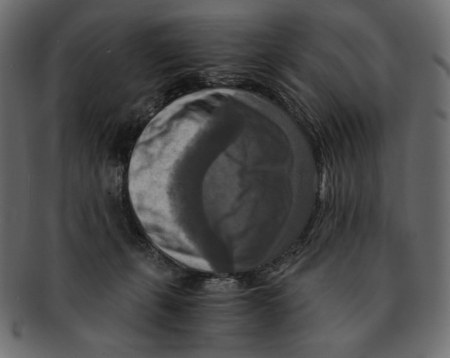 X0000091920271200710031045