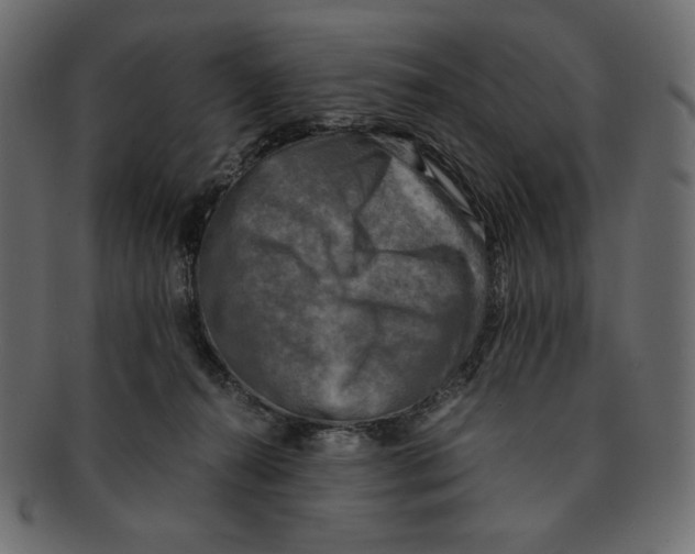 X0000091920272200710031045