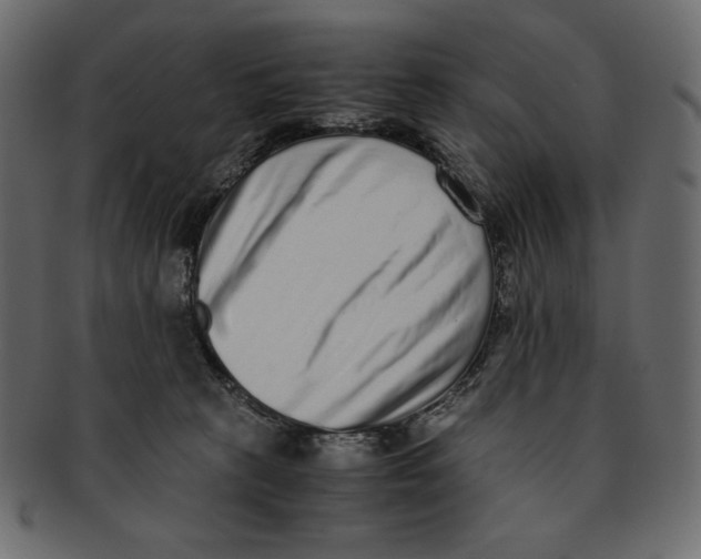 X0000091920273200710031045