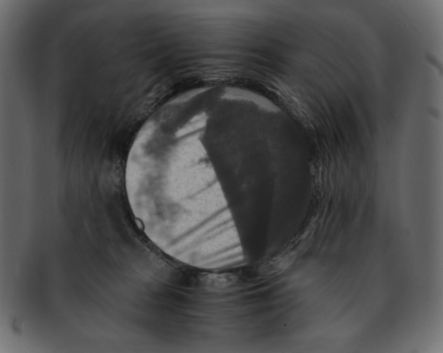 X0000091920277200710031045