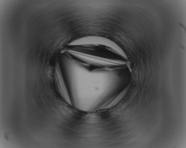 X0000091920280200710031045