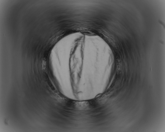 X0000091920281200710031045