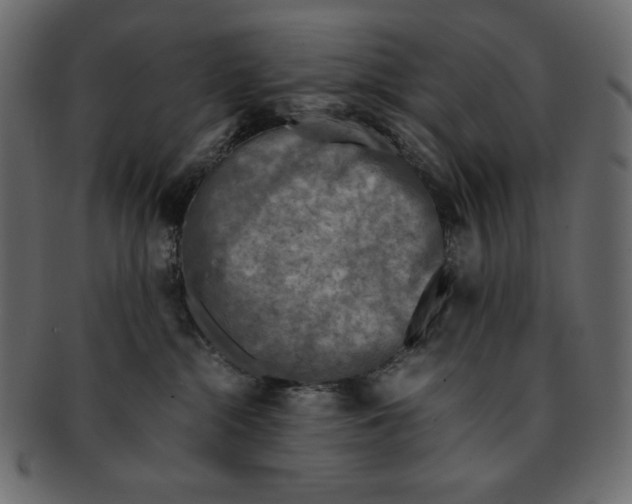 X0000091920284200710031045