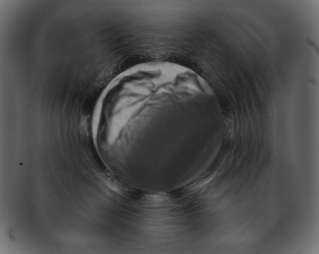 X0000091920286200710031045