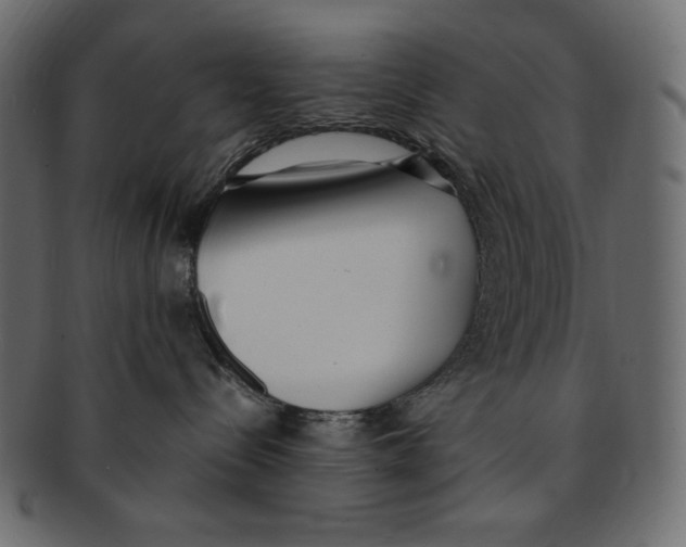 X0000091920288200710031045
