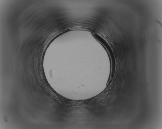 X0000091920289200710031045
