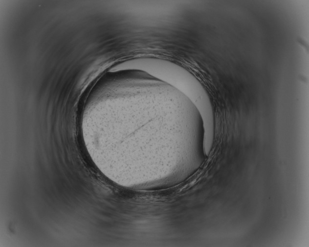 X0000091920291200710031045
