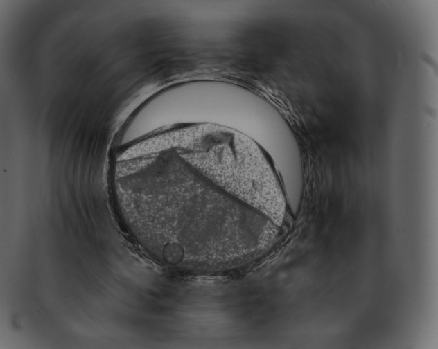 X0000091920292200710031045