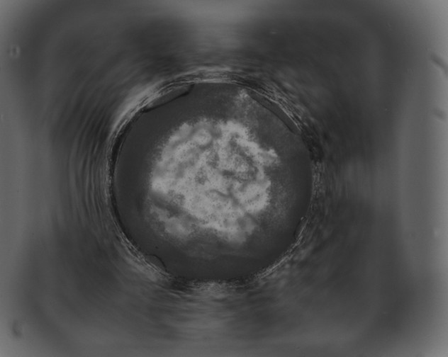 X0000091920293200710031045